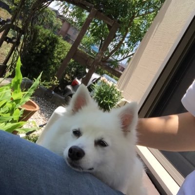 遠藤 和啓 Ohzpqu Twitter 遠藤 和啓 Ohzpqu Twitter