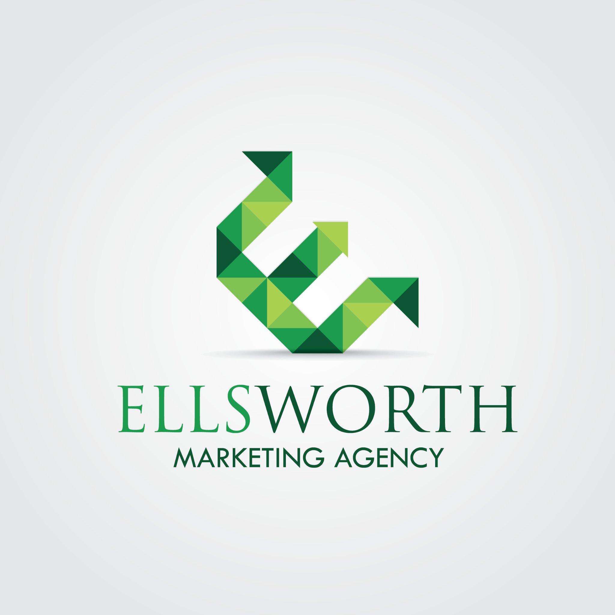 EllsworthAgency's profile picture. Online marketing, to bring you into the future!