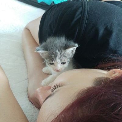 EvinBayer's profile picture. "Hiçbir yararı olmayacağını bile bile insan kalmanın çok önemli olduğunu düşünüyorsan, onları yendin demektir" 1984, George Orwell