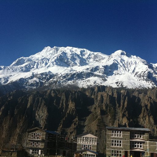 AnthonyCarlisl1's profile picture. 