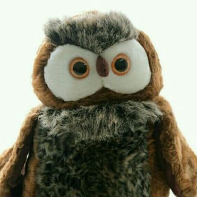 ftmhrsli1's profile picture. Ahadun Ahad