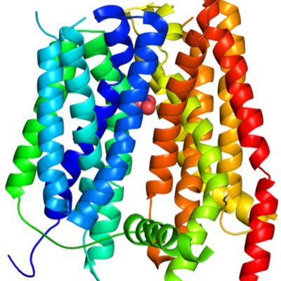 I'm a plant protein. Quite central. I tweet about my life as a nitrate sensor and my other activities... Views are my own and don't involve the whole NPF crew