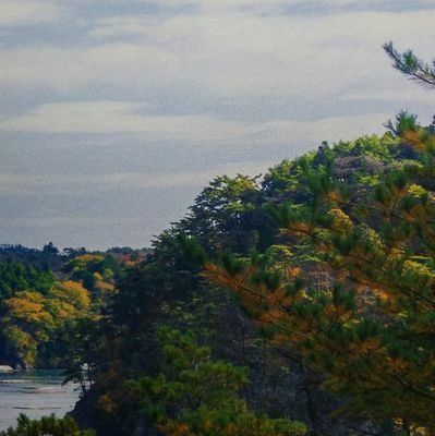 stepstep_go's profile picture. 社会人２年目／男です。恐怖症と心配性と仕事と毎日戦ってます。会食恐怖症（外食恐怖）、嘔吐恐怖症、対人緊張、社会不安障害など。同じ症状で悩んでいらっしゃる方と繋がりたいです。よろしくお願いします。無言フォローすみません。