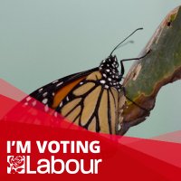 W_n__ (@drwintadd) 's Twitter Profile