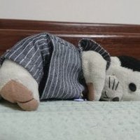 アサ子 (@honjitup) 's Twitter Profile