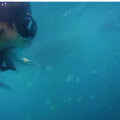 LovingTreess's profile picture. 