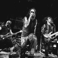 Dead Horse Trauma (@deadhorsetrauma) 's Twitter Profile