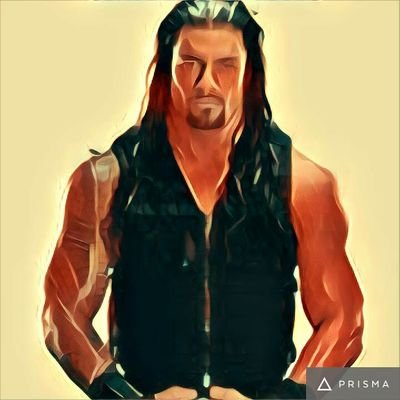 I am a big fan WWE wrestler