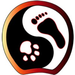 Learn Acupuncture with Light and Photonic Therapy for ALL species! https://t.co/lIPtYdI0Uw