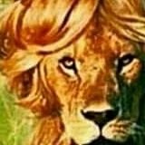 One*Lioness*Jungle Advocate Protector of the truth and justice on this 🌎Human Jungle...Roar! Guard The Righteous.
Unite In God Laws We Trust*personal opinion