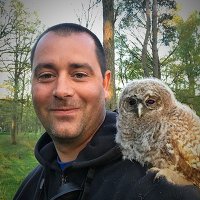 Johan Nilsson (@_jni_) 's Twitter Profile