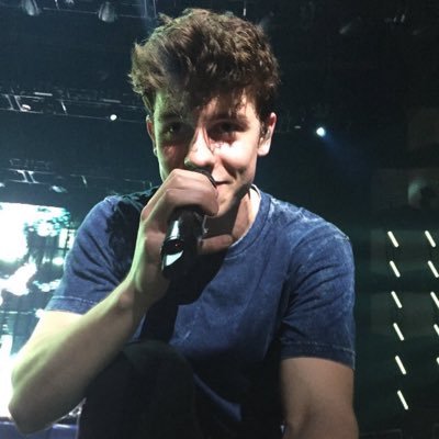 @aaliyahmendess followed me 28/02/17💞 Saw Shawn on 12/08/15❤️ Gonna see him again on 14/08/17😻