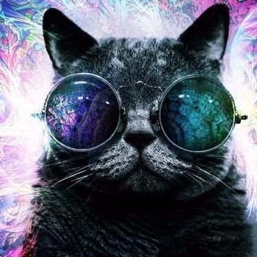 SadDest1ny's profile picture. New player of CSGO, Trying to improve my skills and consequently get better. 

https://t.co/qjfW0VTluT