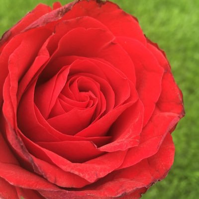 drop1910's profile picture. اللهم لك الحمد حتى ترضى ولك الحمد اذا رضيت ولك الحمد بعد الرضى