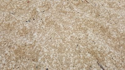 notcreated's profile picture. 