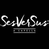 SesVerSus(@SesVerSus) 's Twitter Profile Photo