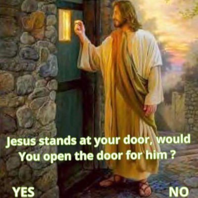 BarbaraSueBish2's profile picture. 