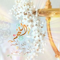 Douha Al-Rifai (@douha_alrifai) Twitter profile photo