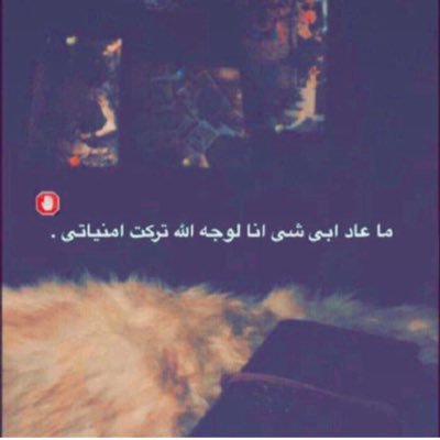 مِحتاجه حاجة تفرّح قلبي,وأيام حلوة تنسّيني كل شي مرّني وضرّني.