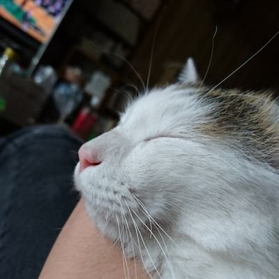 やれることをやるしかねぇなぁ!!!!
