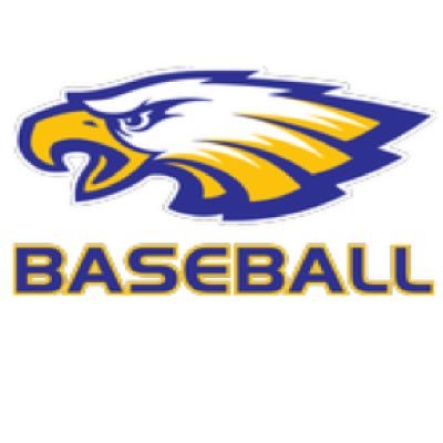 Sandburg Baseball Profile