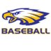 Sandburg Baseball (@csbaseball1) Twitter profile photo