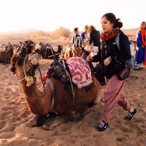 staaubs's profile picture. 