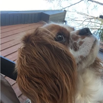 justinmercer_'s profile picture. add a bio to your profile