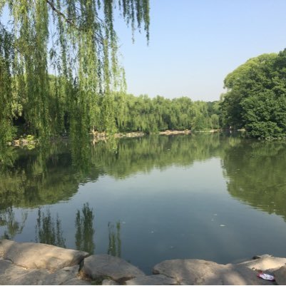 mijiyougu's profile picture. 