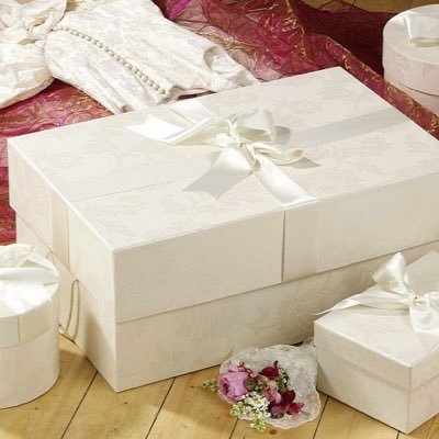 DressClean's profile picture. Specialising in cleaning and preserving wedding dresses for brides in the South West of UK ❤️