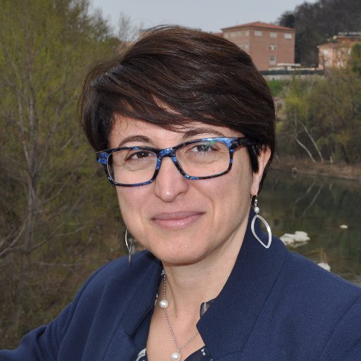 Deputata del Partito Democratico XVII Legislatura - Commissione Affari Costituzionali, Interni e Presidenza del consiglio. Partito democratico Bologna