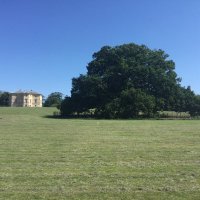 FriendsofDansonPark (@f_o_d_p) 's Twitter Profile