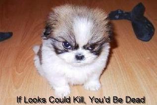 monkeyboy1967's profile picture. 