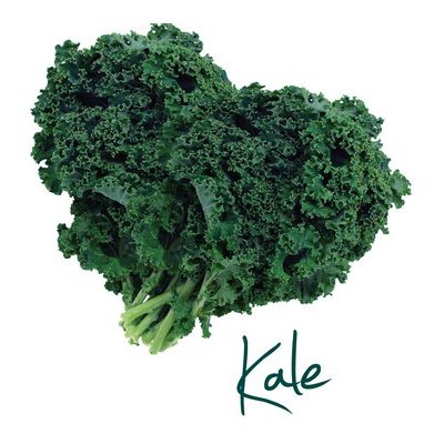 chou_kale's profile picture. #Environnement, #GoodVibes