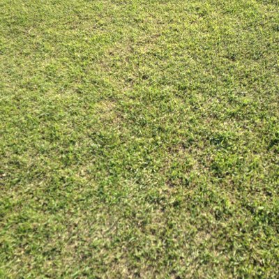 GenVnext's profile picture. 金大理系後期一括