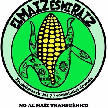 Yo no quiero #Transgenicos en Bolivia. #BLT #NOGMO
Estamos en campaña hasta expulsar a todos los transgénicos de nuestros campos y platos.    Bolivia #GMO free.