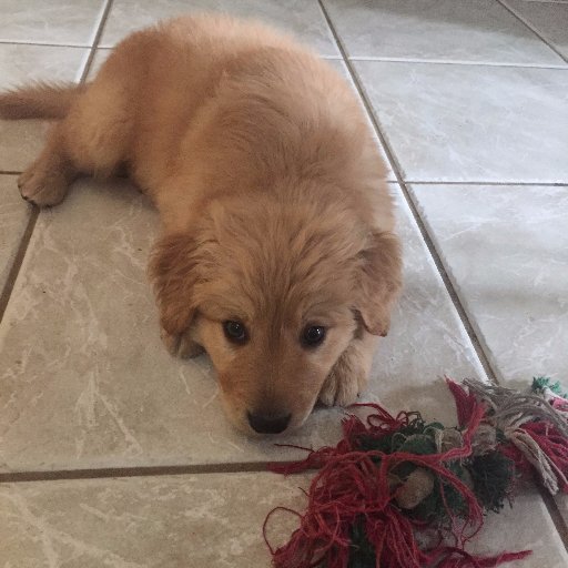 MhmMulvad's profile picture. 