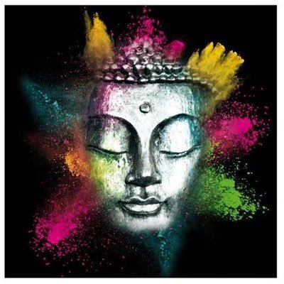 PBouddhistes's profile picture. Doutez de tout et surtout de ce que je vais vous dire. #bouddha