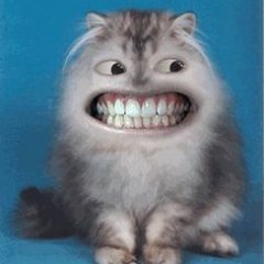 Im a tech guy and a gamer check out my Steemit it is where I post everything