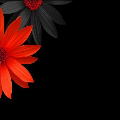 (اللَّهُمَّ بَاعِدْ بَيْنِي وَبَينَ خَطَايَايَ كَمَا بَاعَدْتَ بَيْنَ المَشْرِقِ وَالمَغْرِبْ)
✘الخاااص ممنوع✘☜الغاء