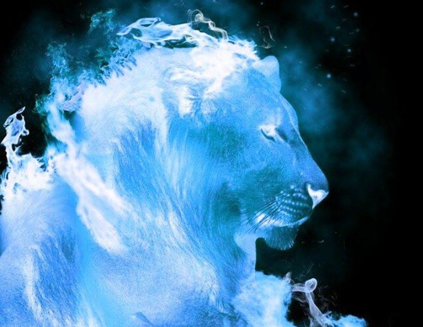 HmmmRaul's profile picture. 