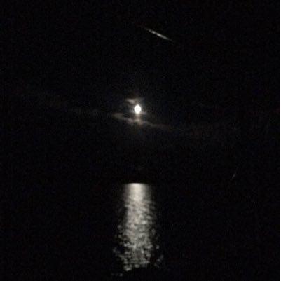 AlexioZambezi's profile picture. *tweeted views are my own *