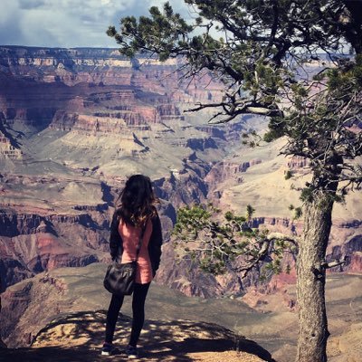 sheedehd's profile picture. 