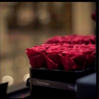 Noura (@nawarah__90) 's Twitter Profile