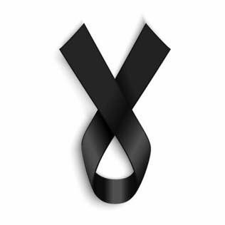 auroremal's profile picture. 