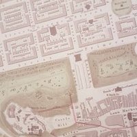 Trig Surveys (@trigsurveys) 's Twitter Profile