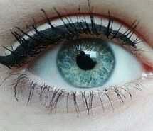 Alter_PH360's profile picture. A little bit of entertaining :)