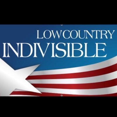 lc_indivisible Profile Picture