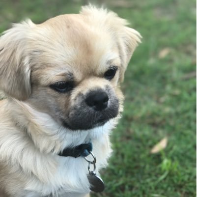 nerissa_ali's profile picture. mum of 3 and have 4 fur babies love life and also married to my best friend 💕