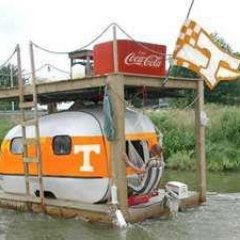 cargoshortsvols's profile picture. 